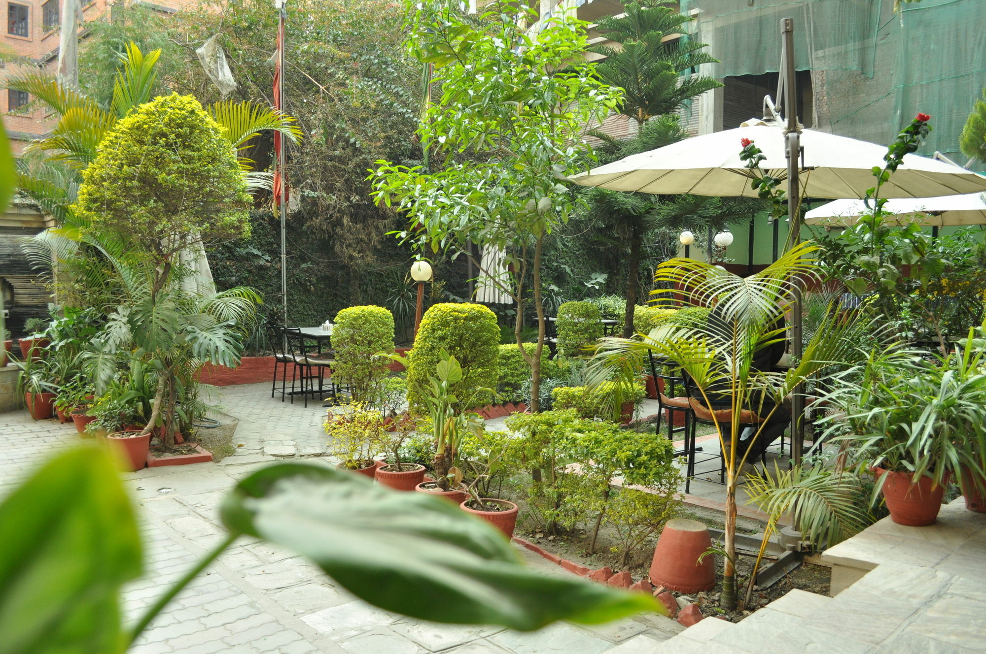 Hotel Florid Катманду Екстер'єр фото
